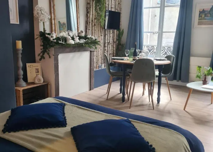 Studio 4 Personnes Aux Pieds Du Chateau De Blois Avec Experience De Dormir Sous Les Aurores Boreales