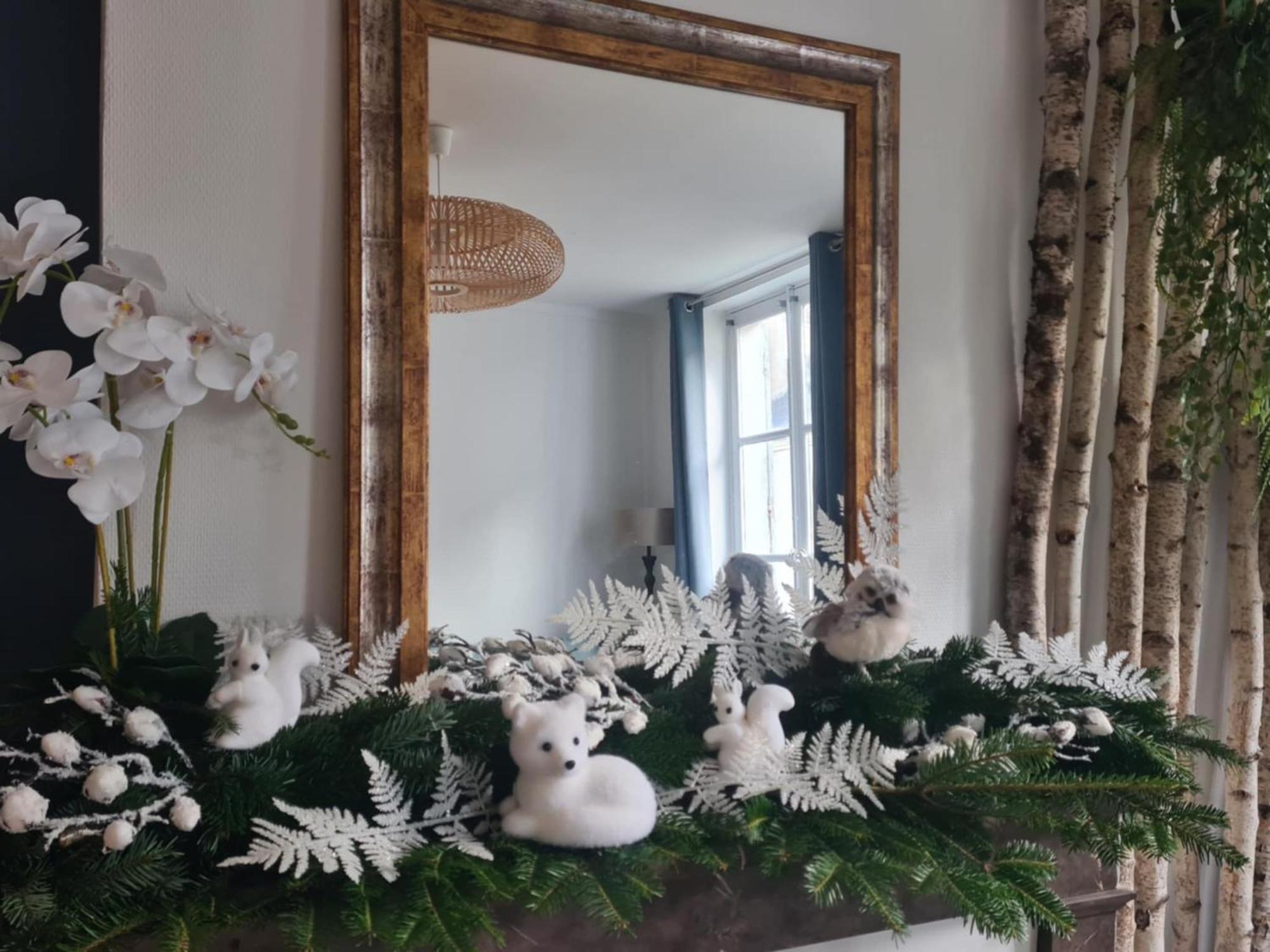 Apartment 4 Personnes Aux Pieds Du Chateau De Avec Experience De Sous Les Aurores Boreales Blois